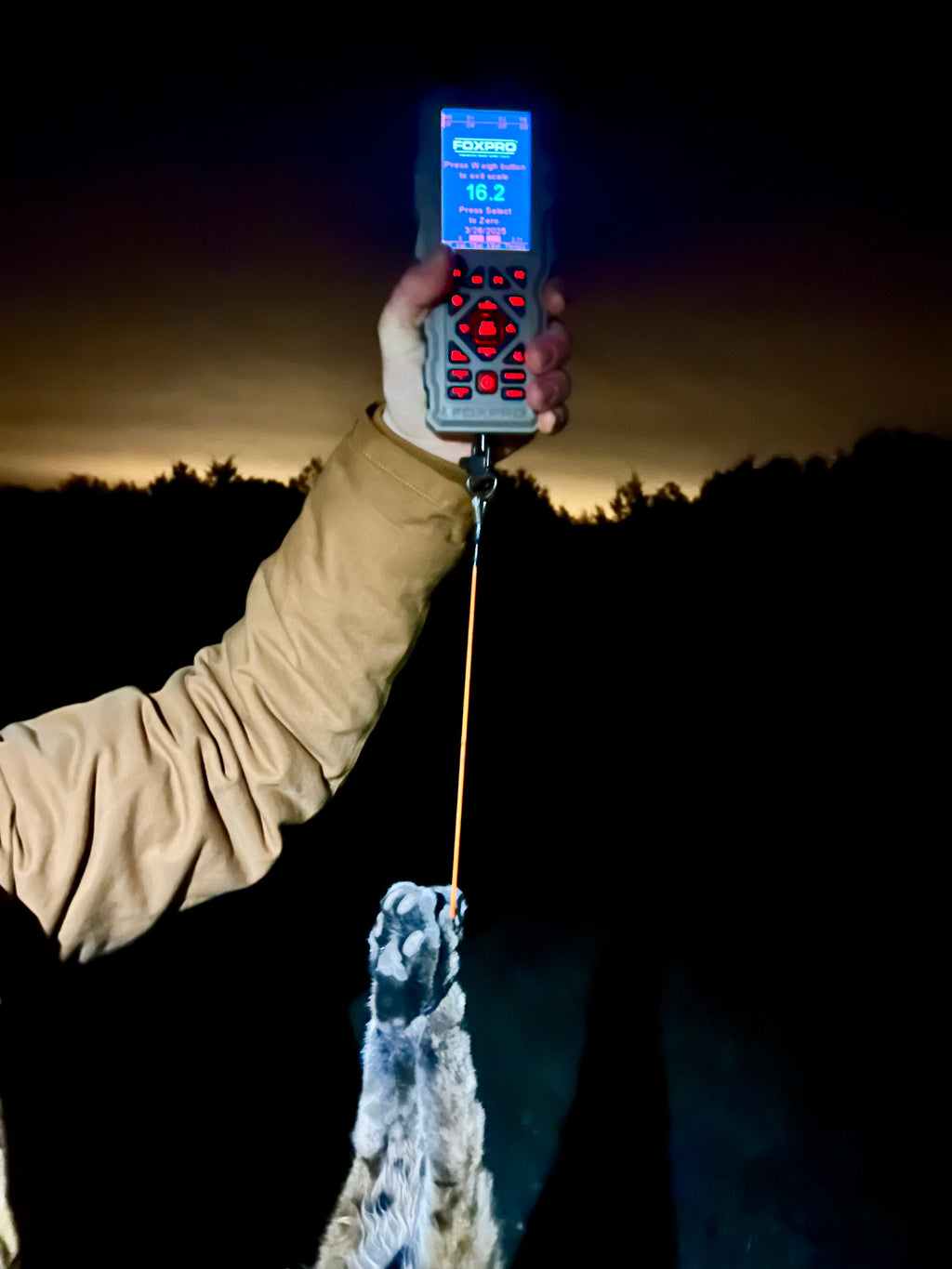 TX2000 QD Remote Scale Hanger